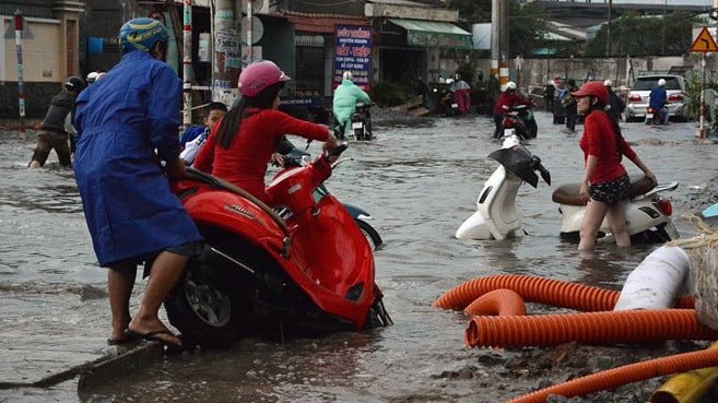 Quận 6 có hệ thống kênh, rạch chặt chịt như kênh Lò Gốm, kênh Tàu Hủ... là nơi lý tưởng cho chuôt sinh sôi nẩy nở.