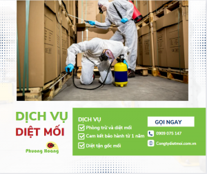 Dịch vụ Diệt mối tận gốc ở HCM