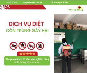 Dịch vụ Diệt côn trùng