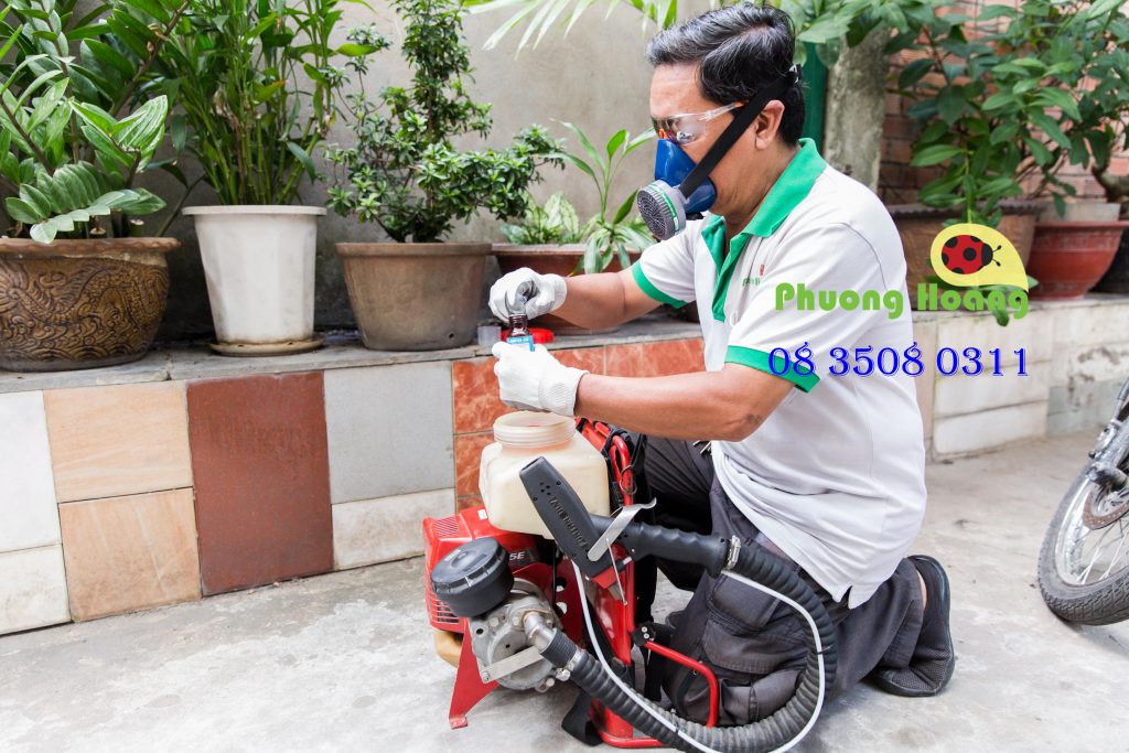 Công Ty Diệt Mối Và Côn Trùng Uy Tín Tại TP Hồ Chí Minh