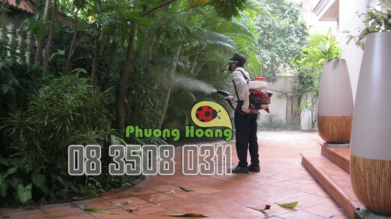 Không tạo ẩm độ cho mối phát triển