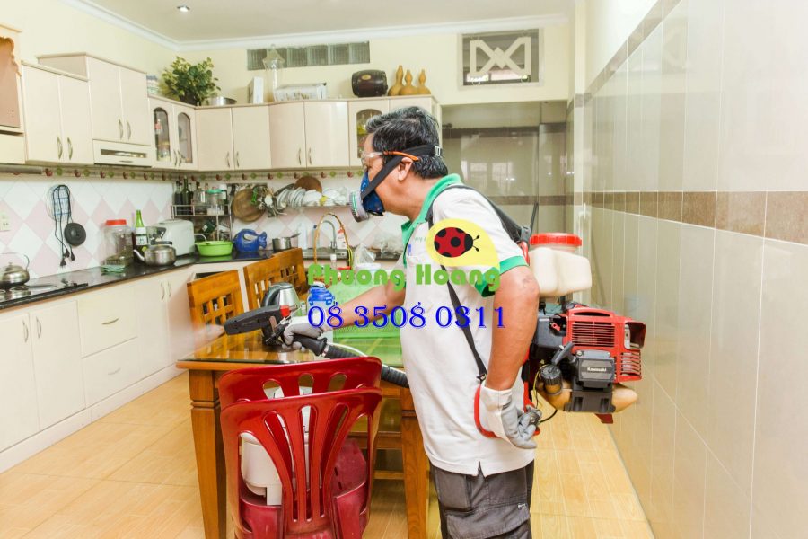 phuonghoang_02 phượng hoàng diệt muỗi tại nhà