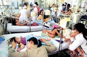 Hàng ngàn trẻ em chết vì sốt xuất huyết mỗi năm